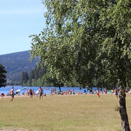 Villa Le Tramway Gerardmer
