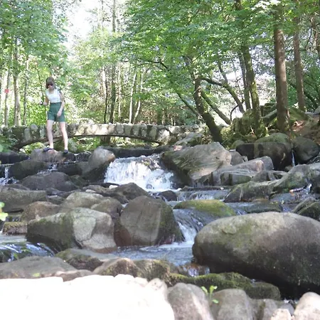 Willa Le Tramway Gérardmer