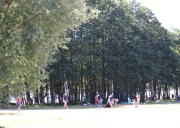 Le Tramway 제라르메르