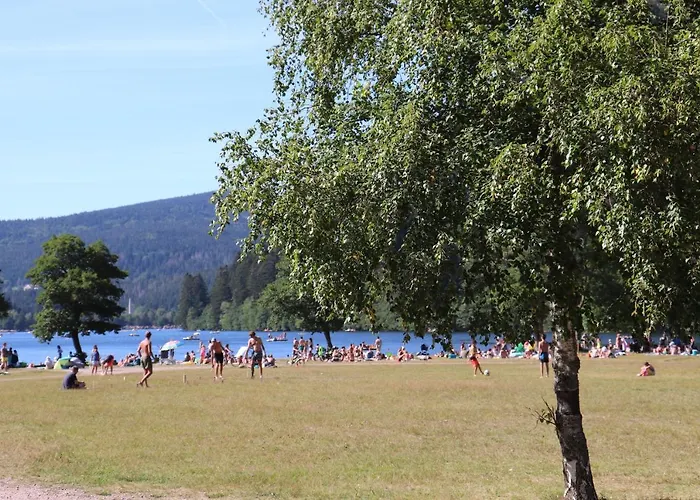 Villa Le Tramway Gérardmer