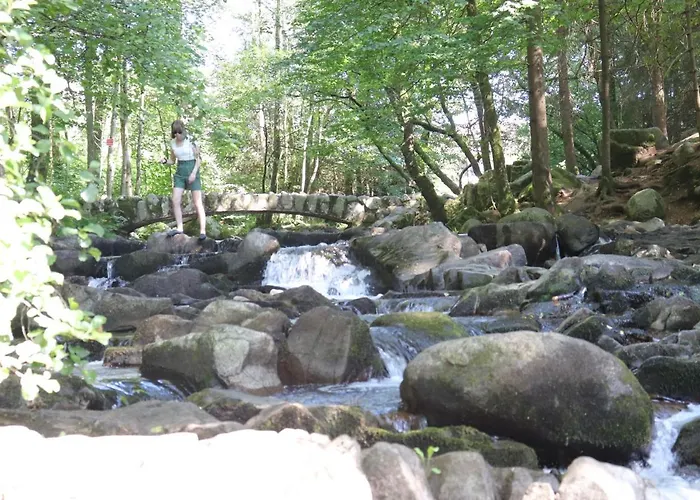 Villa Le Tramway Gérardmer